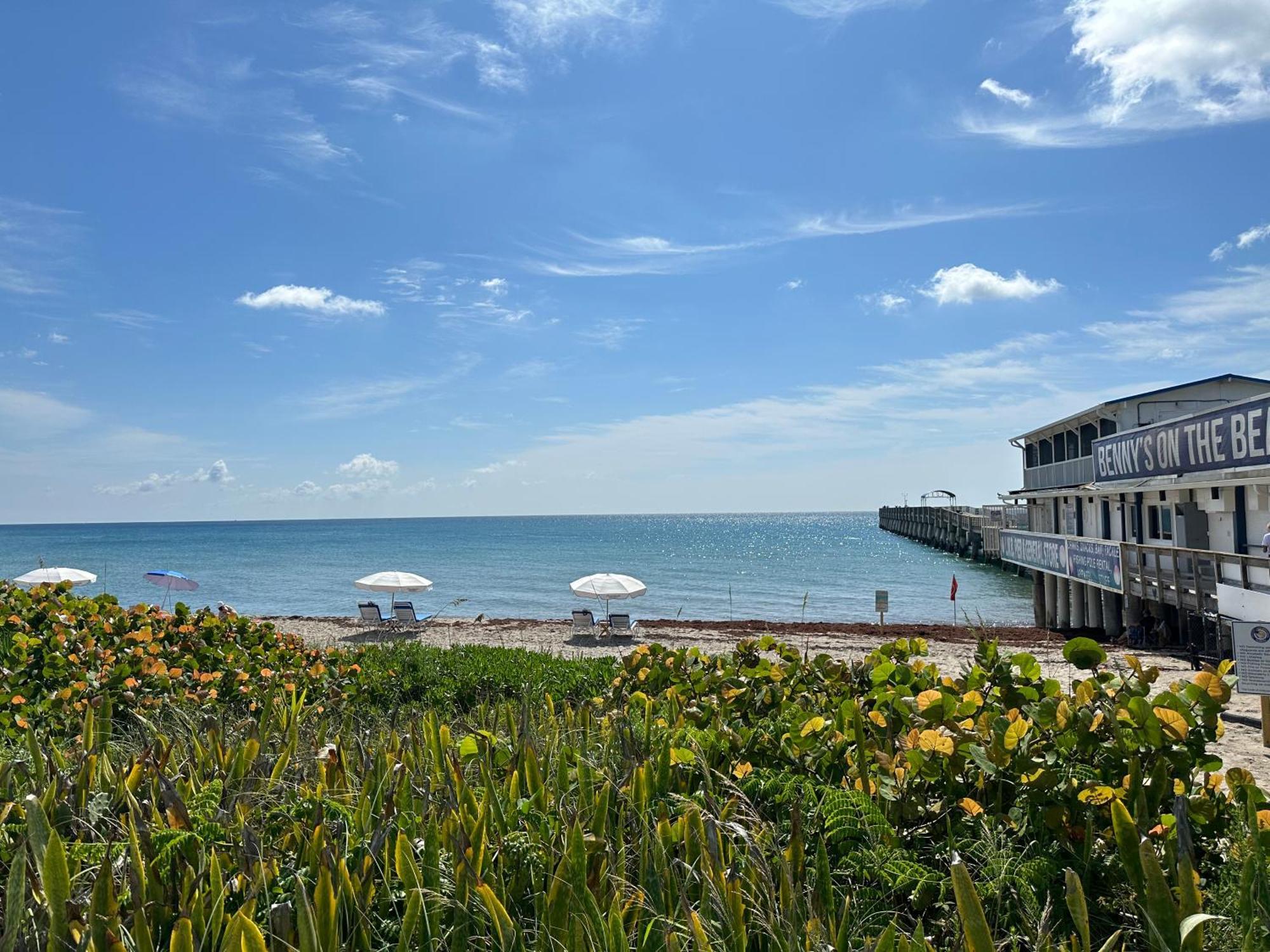 5 Min To Beach Large Living Room Fenced Backyard Bbq Firepit Driveway Boat Parking Lake Worth Beach Kültér fotó